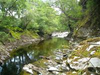 River Roy